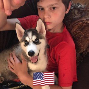 Meet your Posher, Ty